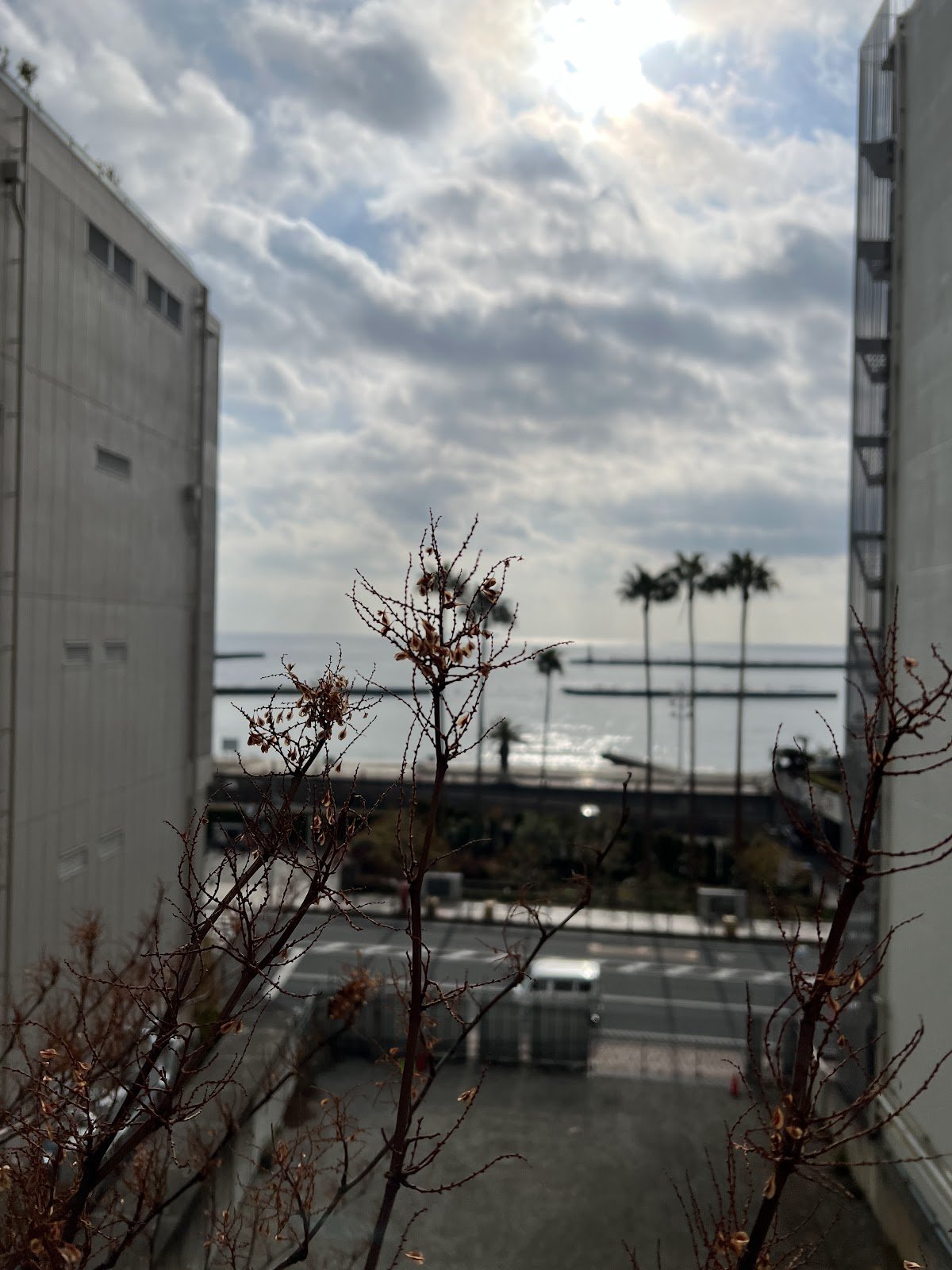建物の合間から熱海のビーチが見えます。