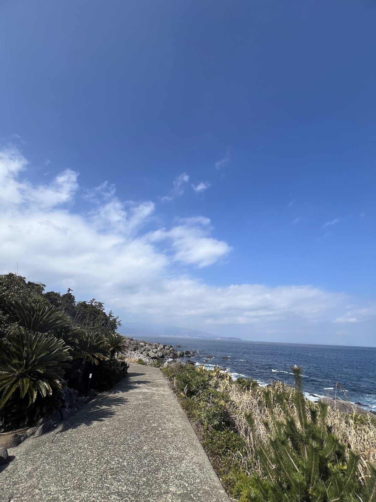 海沿いの周遊道